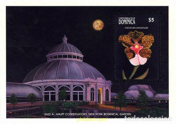 Sellos: 306773 MNH DOMINICA 1989 ORQUIDEAS