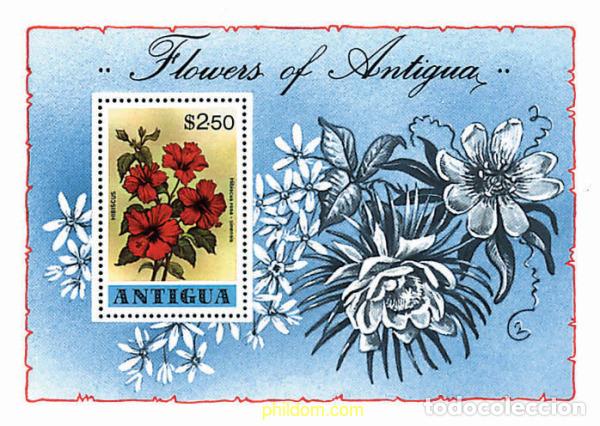 Sellos: 98050 MNH ANTIGUA 1978 FLORES DE ANTIGUA