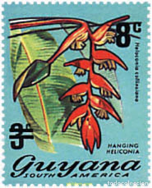 Sellos: 87735 MNH GUYANA 1975 FLORES