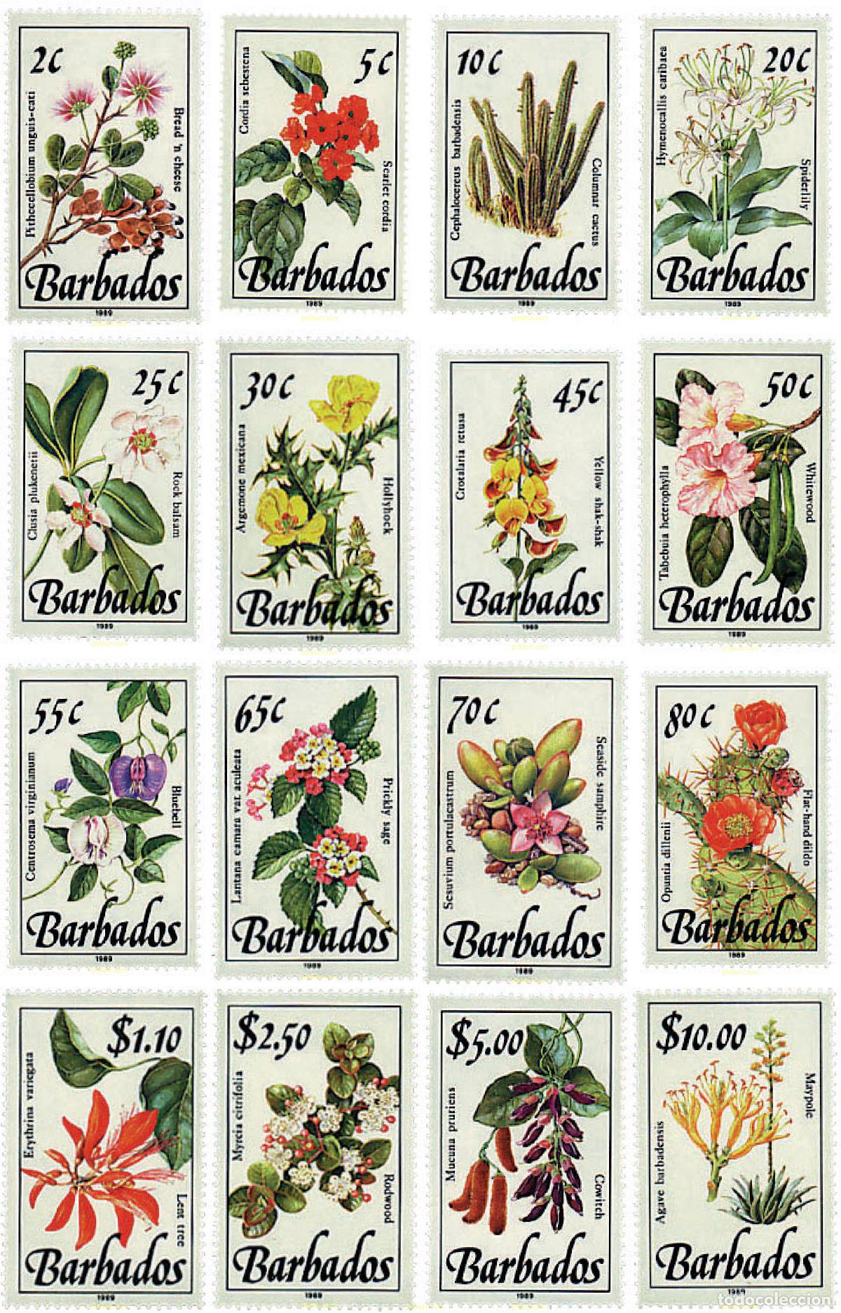 Sellos: 82054 MNH BARBADOS 1989 FLORES SILVESTRES