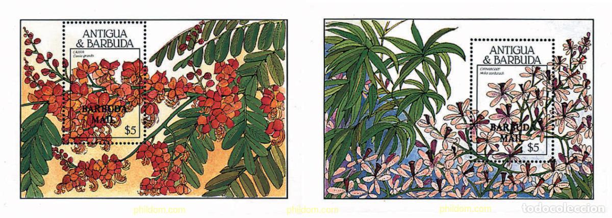 Francobolli: 96738 MNH BARBUDA 1988 FLORES