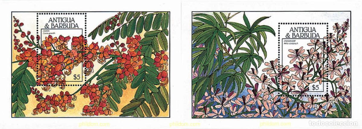 Francobolli: 80986 MNH ANTIGUA Y BARBUDA 1988 FLORES