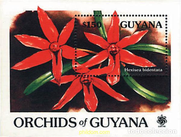 Sellos: 321373 MNH GUYANA 1990 ORQUIDEAS DE GUYANA