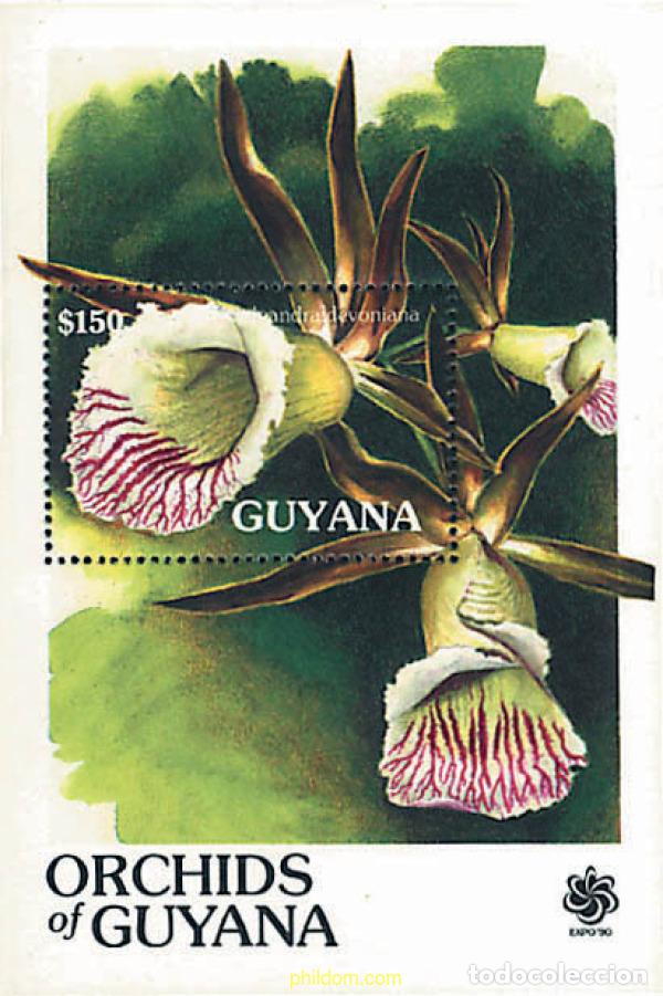 Sellos: 321374 MNH GUYANA 1990 ORQUIDEAS DE GUYANA