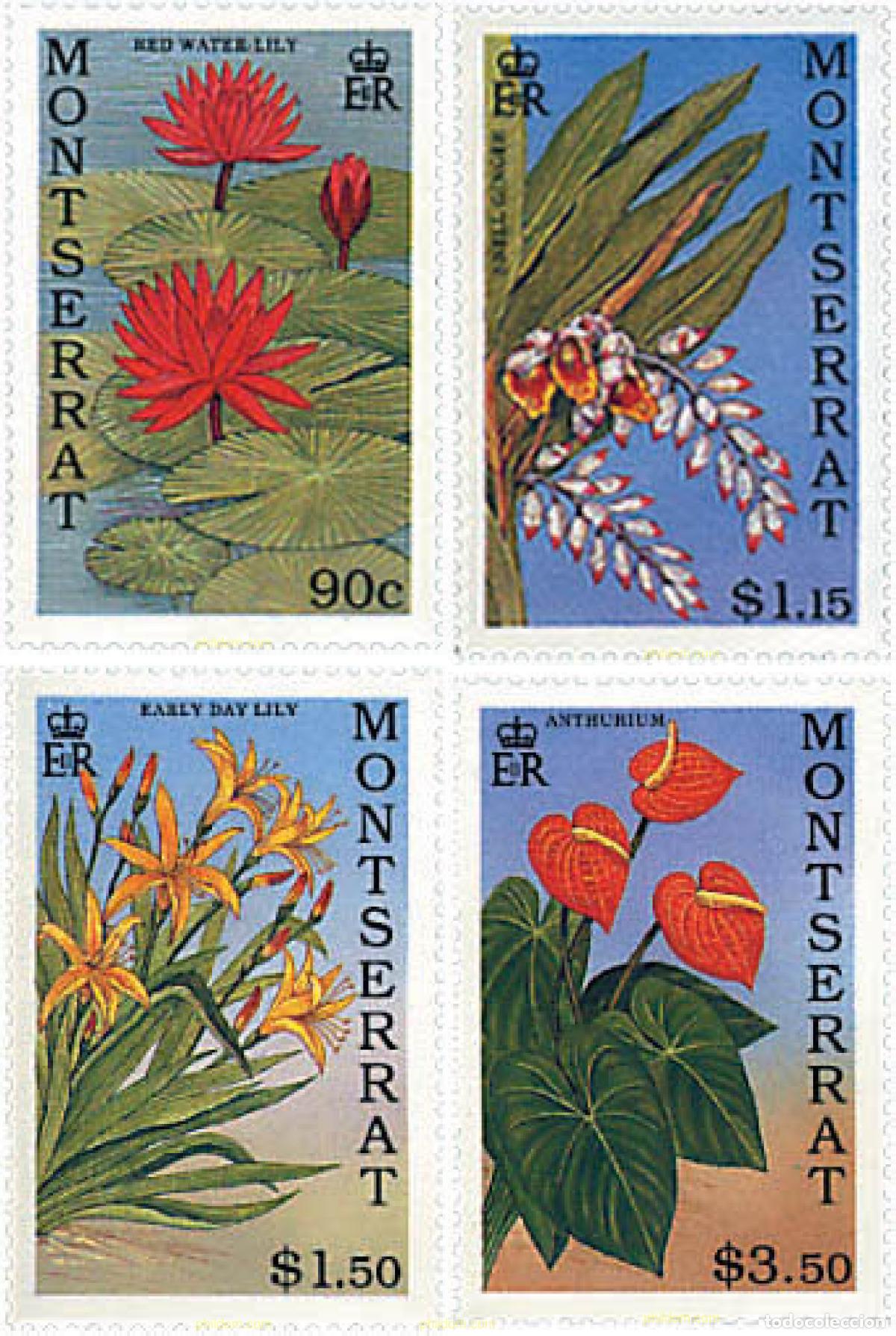 Sellos: 95998 MNH MONTSERRAT 1991 FLORES