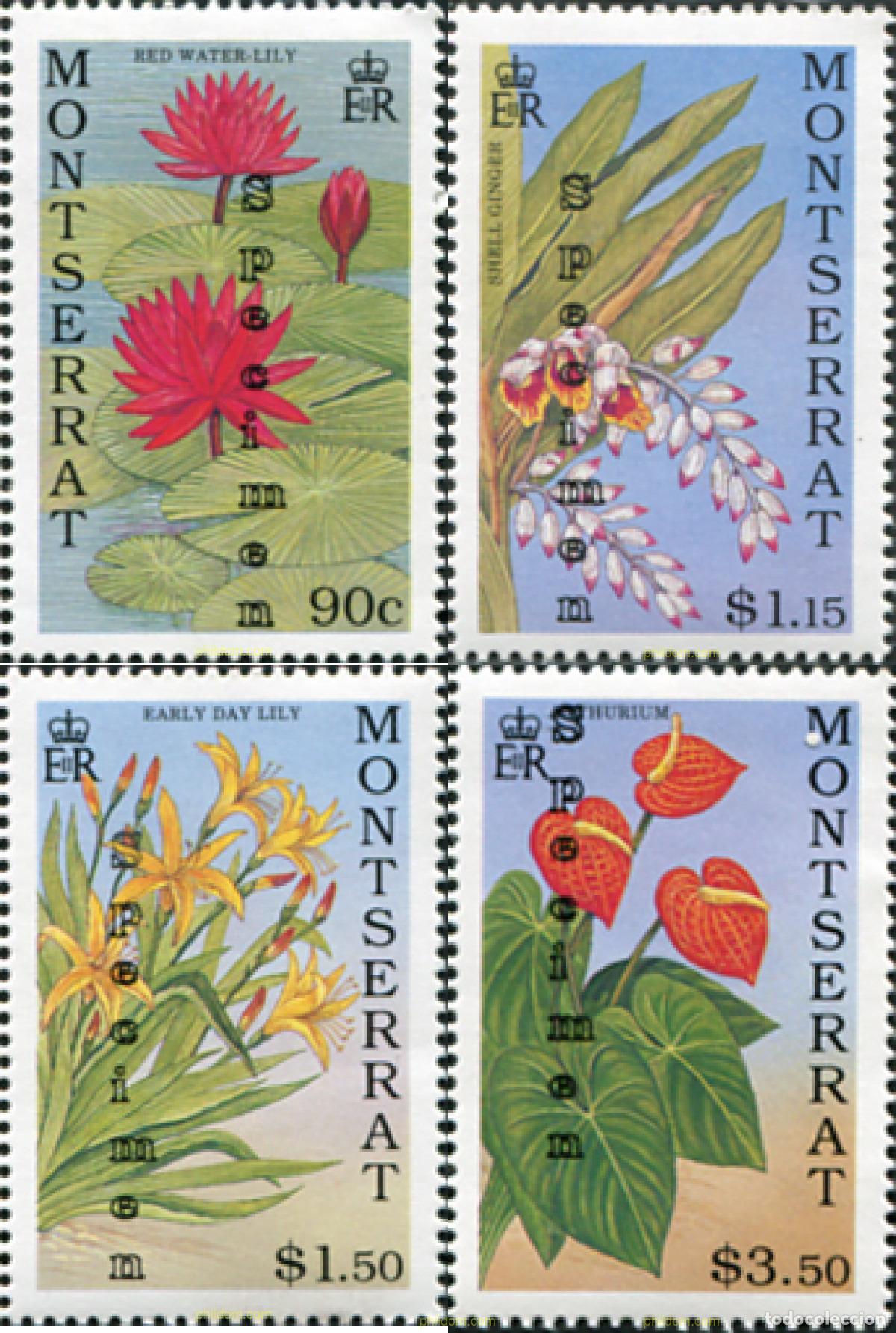 Sellos: 681985 MNH MONTSERRAT 1991 FLORES