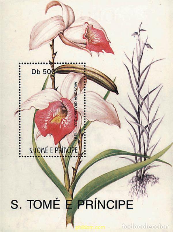 Sellos: 93304 MNH SANTO TOME Y PRINCIPE 1991 FLORES DE SANTO TOME Y PRINCIPE
