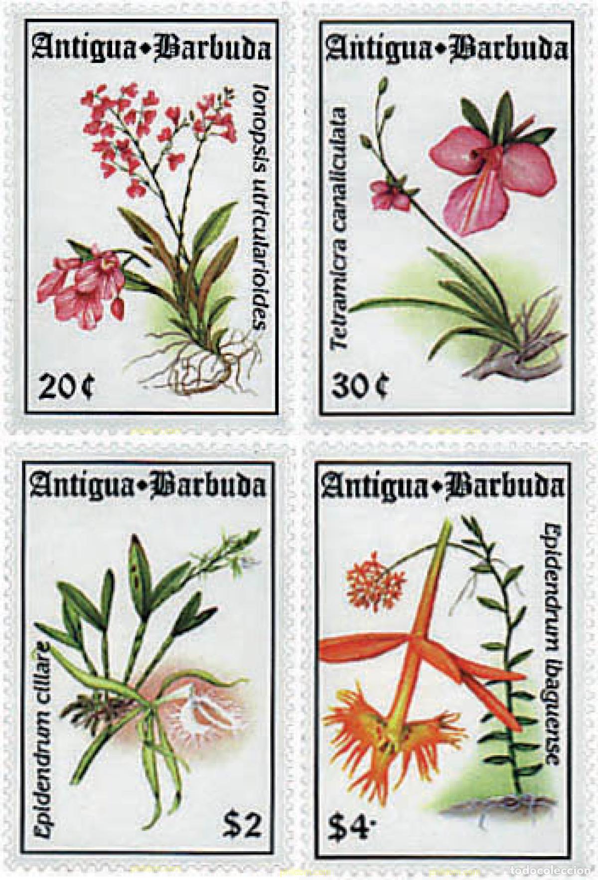 Sellos: 286583 MNH ANTIGUA Y BARBUDA 1994 ORQUIDEAS