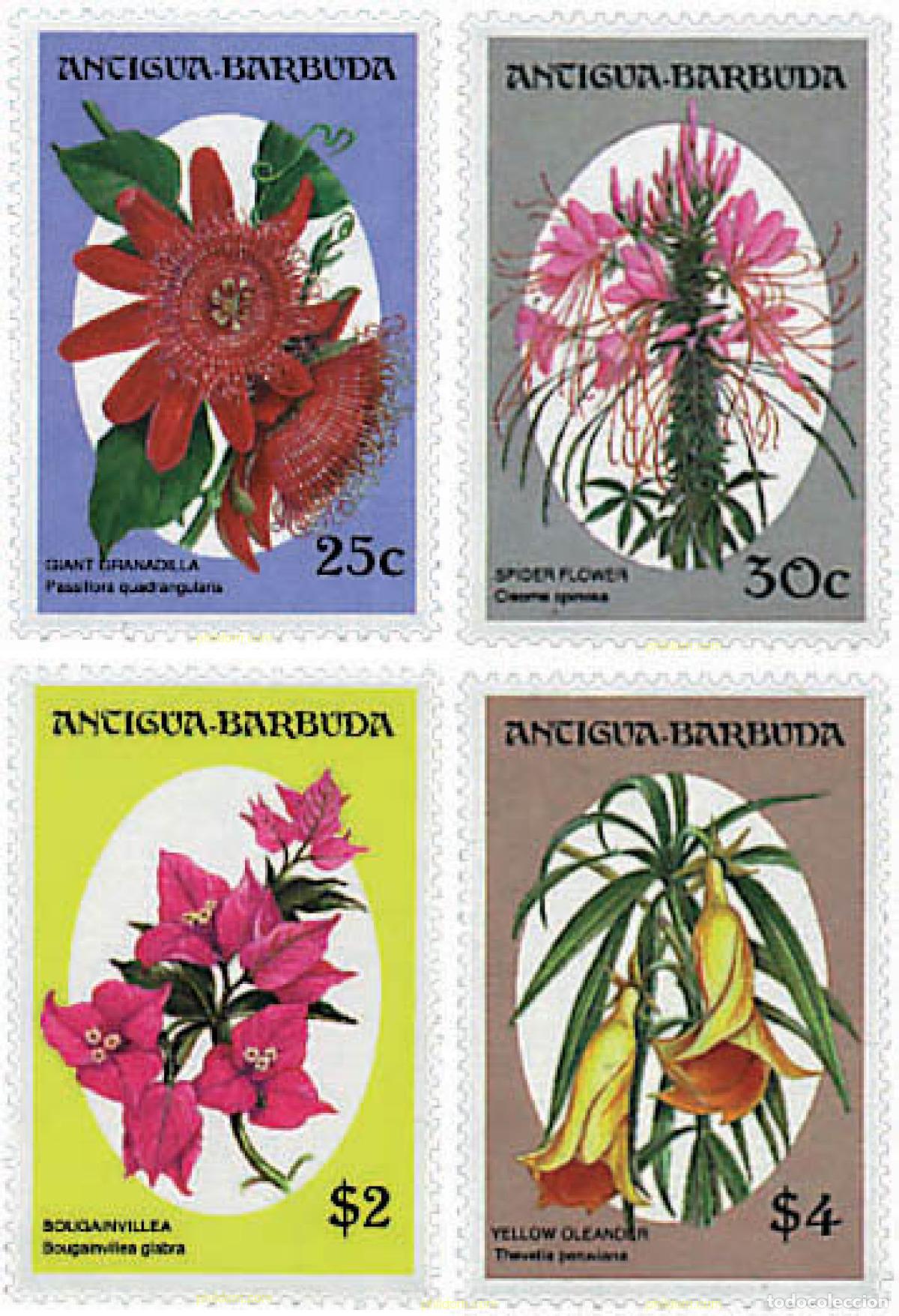 Sellos: 286569 MNH ANTIGUA Y BARBUDA 1993 FLORES DE ARBOLES