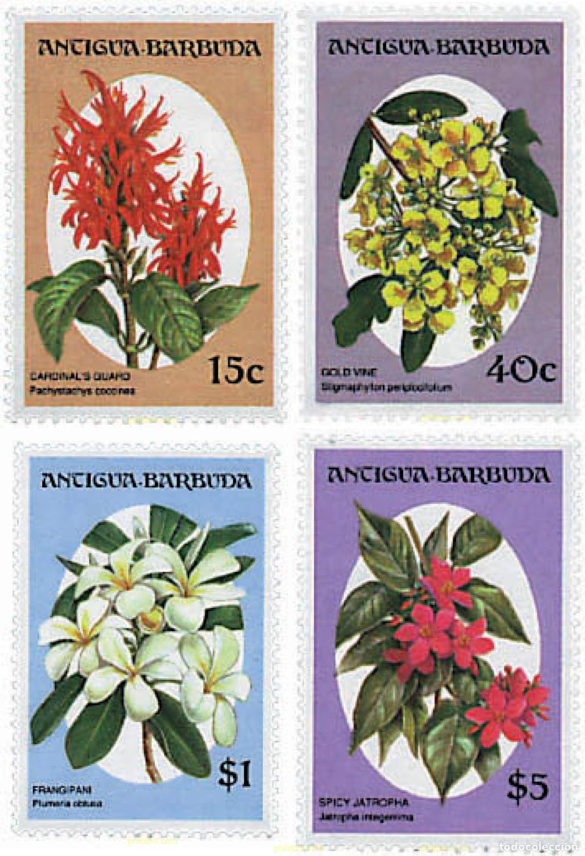 Sellos: 286572 MNH ANTIGUA Y BARBUDA 1993 FLORES DE ARBOLES