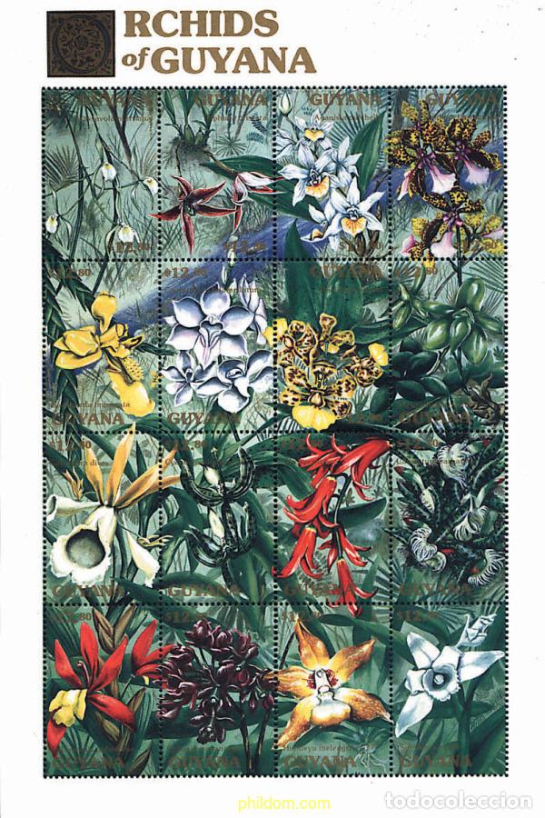Briefmarken: 213379 MNH GUYANA 1990 ORQUIDEAS DE GUYANA