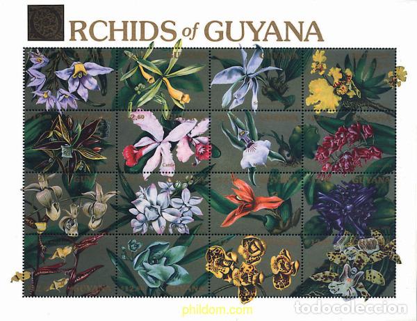 Sellos: 312188 MNH GUYANA 1990 ORQUIDEAS DE GUYANA