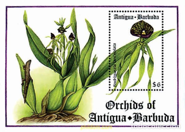Sellos: 286586 MNH ANTIGUA Y BARBUDA 1994 ORQUIDEAS