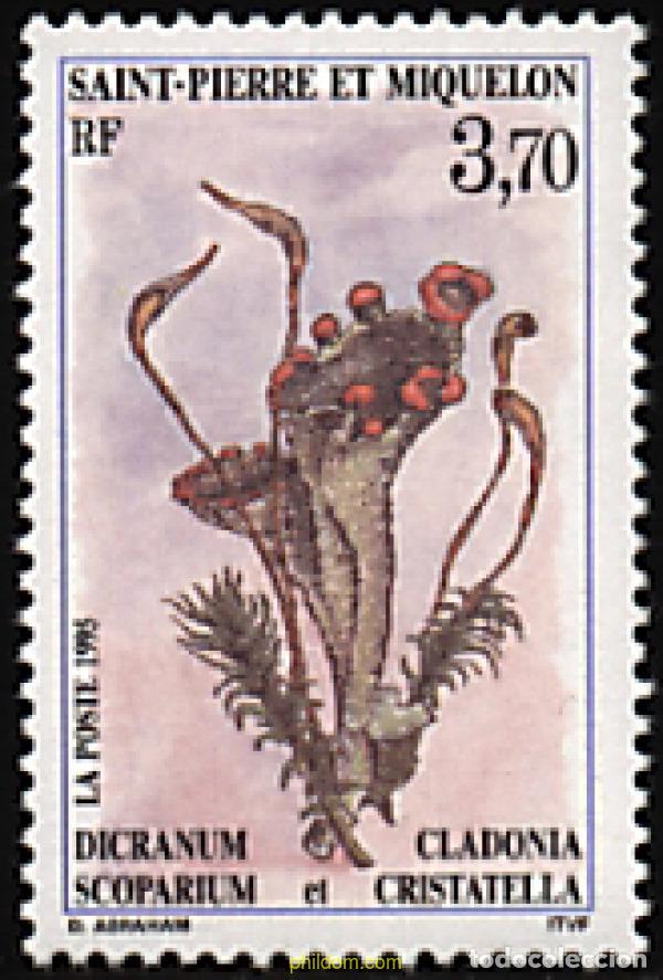 Sellos: 93195 MNH SAN PEDRO Y MIQUELON 1995 FLORA