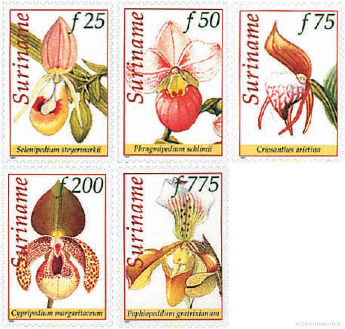 Sellos: 93802 MNH SURINAM 1997 ORQUIDEAS