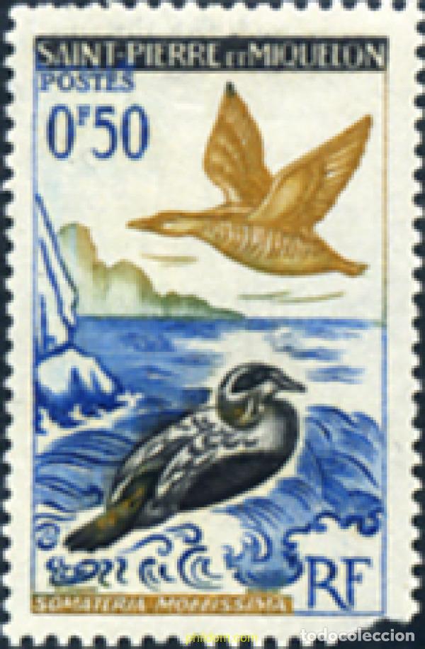 Sellos: 354169 MNH SAN PEDRO Y MIQUELON 1963 AVES