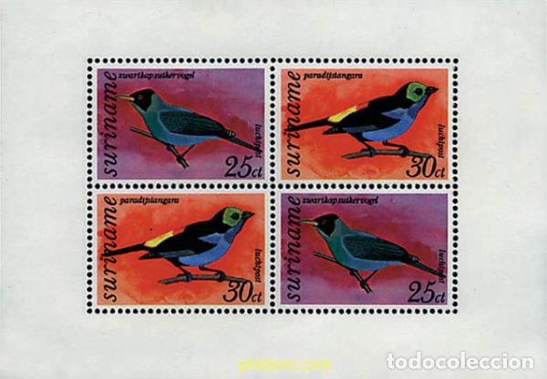 Sellos: 238933 MNH SURINAM 1977 AVES DE SURINAM