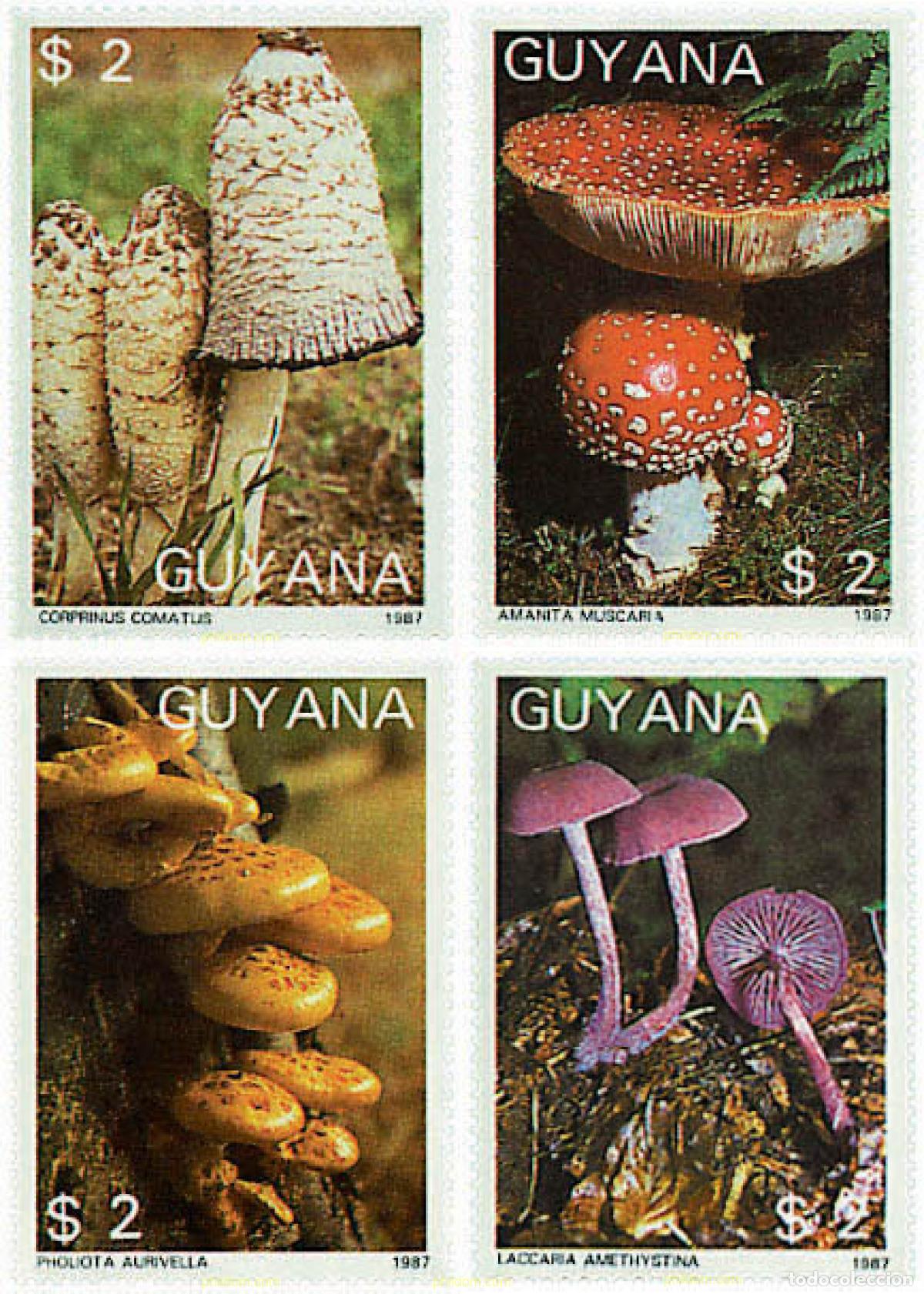 Sellos: 213489 MNH GUYANA 1988 FAUNA Y FLORA