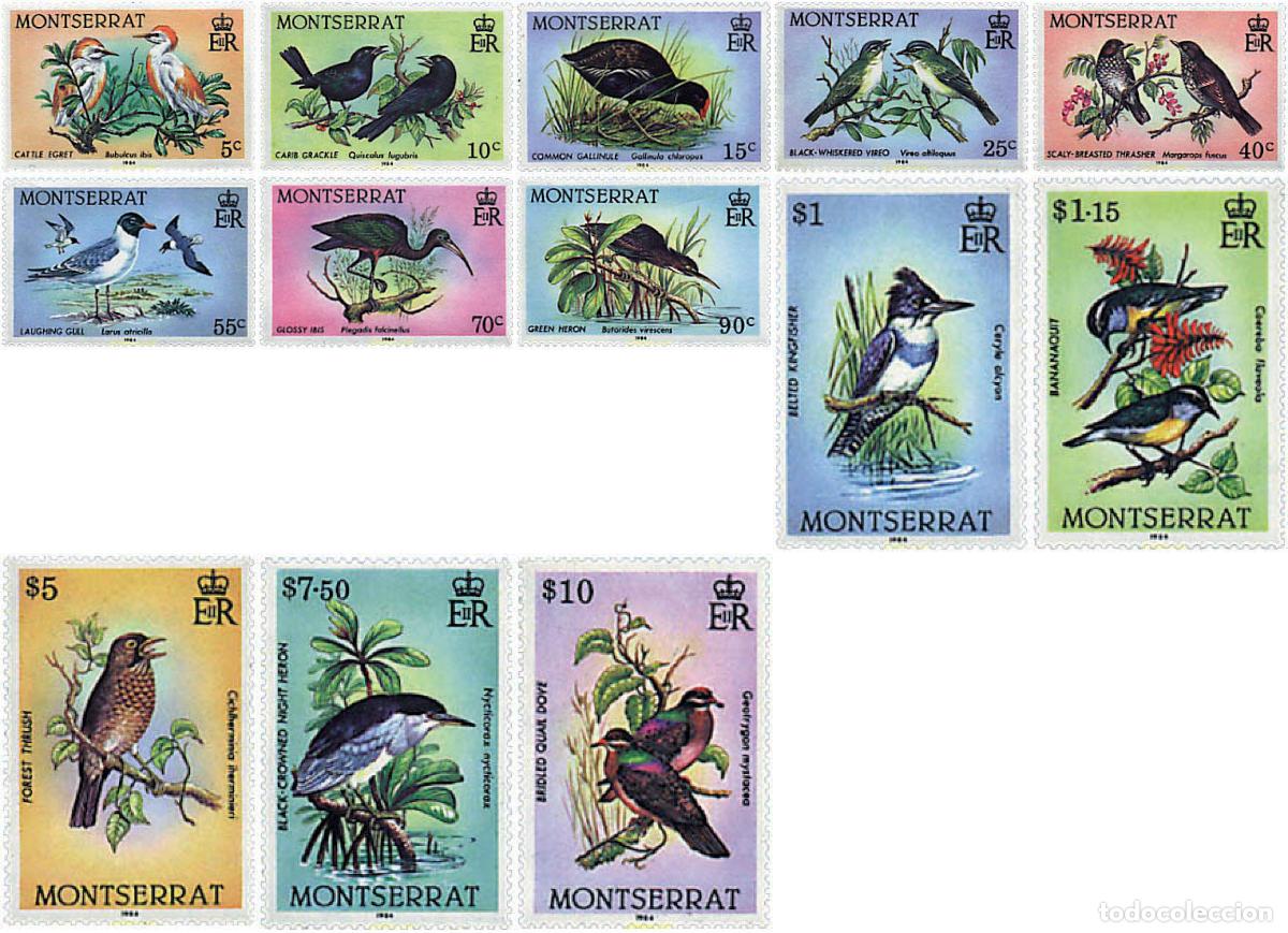 Briefmarken: 370170 MNH MONTSERRAT 1984 AVES