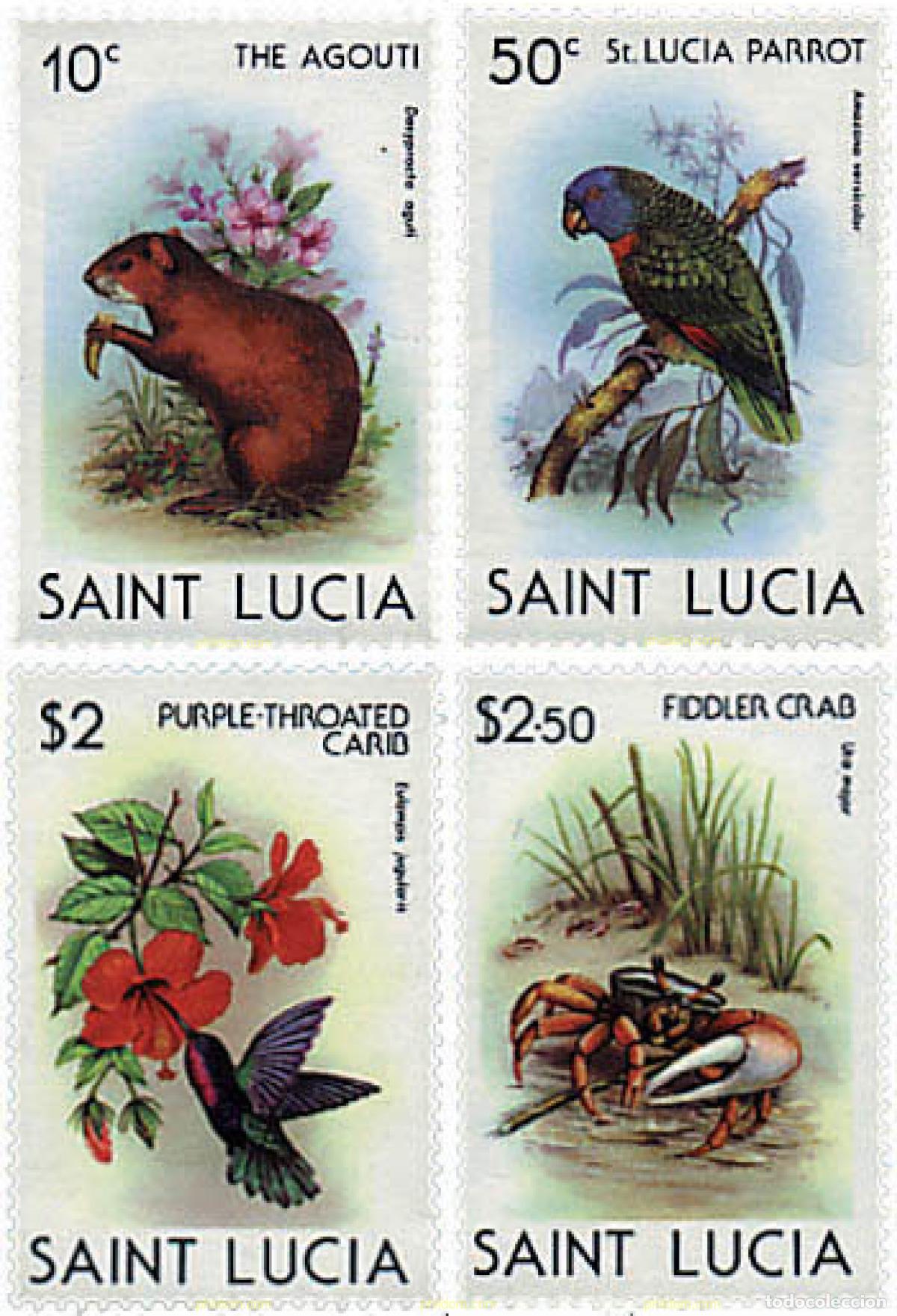 Stamps: 33640 MNH SANTA LUCIA 1980 FAUNA Y FLORA