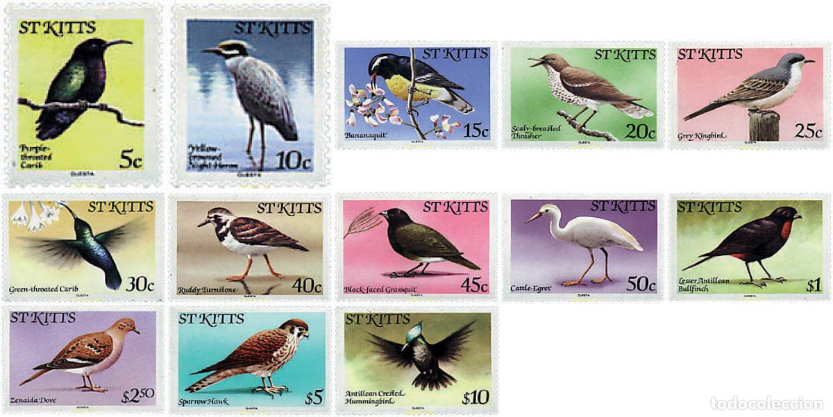 Sellos: 599728 MNH SAN KITTS 1981 AVES