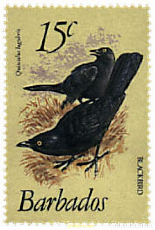 Timbres: 290201 MNH BARBADOS 1982 FAUNA. AVES