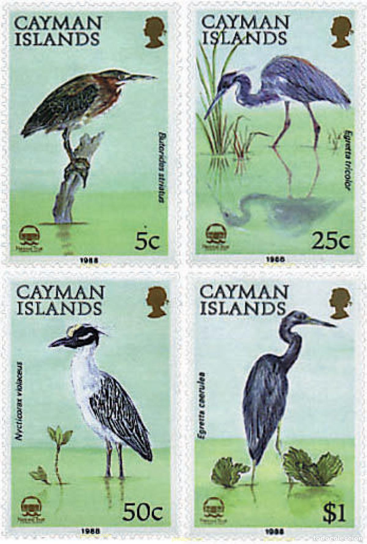 Sellos: 33335 MNH CAIMAN Islas 1988 GARZAS