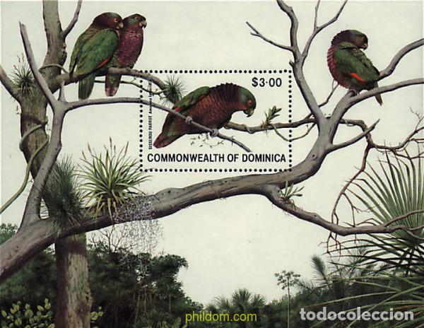 Sellos: 46358 MNH DOMINICA 1981 PAJARO