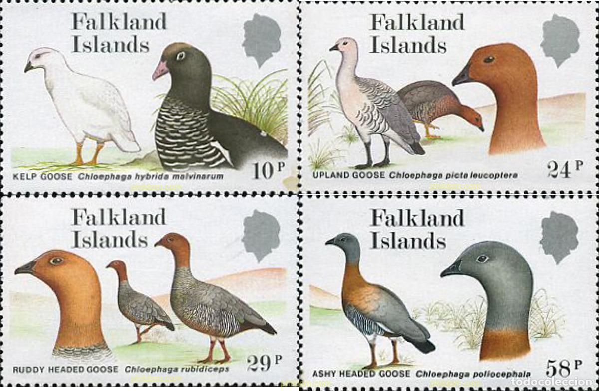 Sellos: 43234 MNH FALKLAND 1988 AVES