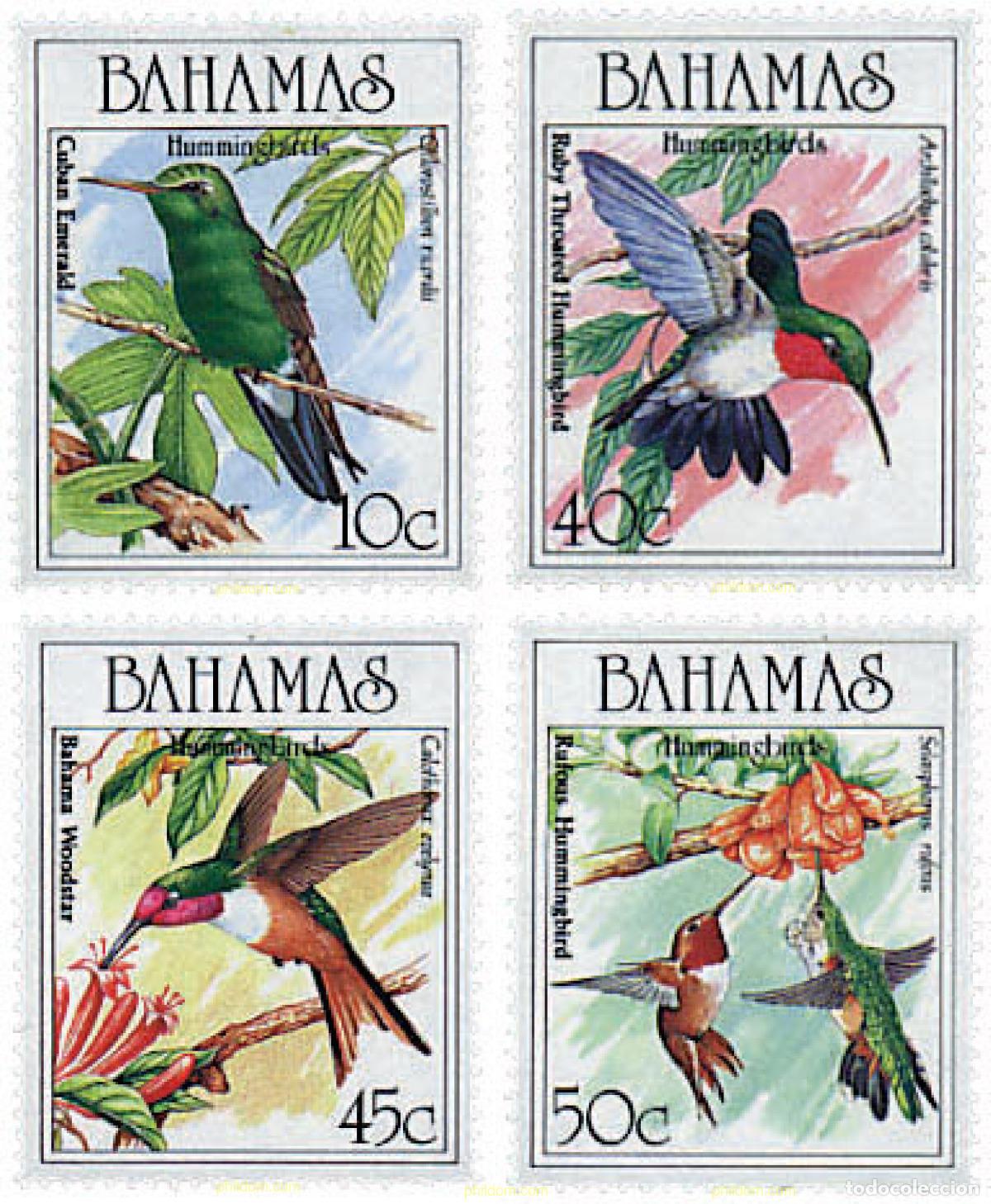 Sellos: 33256 MNH BAHAMAS 1989 COLIBRIS