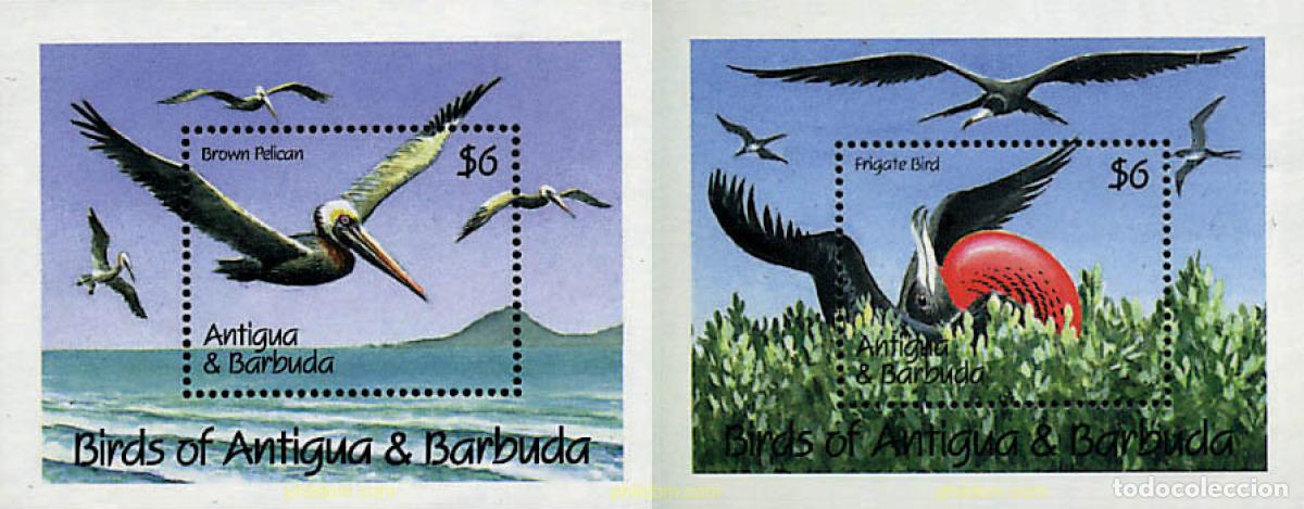 Sellos: 46933 MNH ANTIGUA Y BARBUDA 1990 AVES