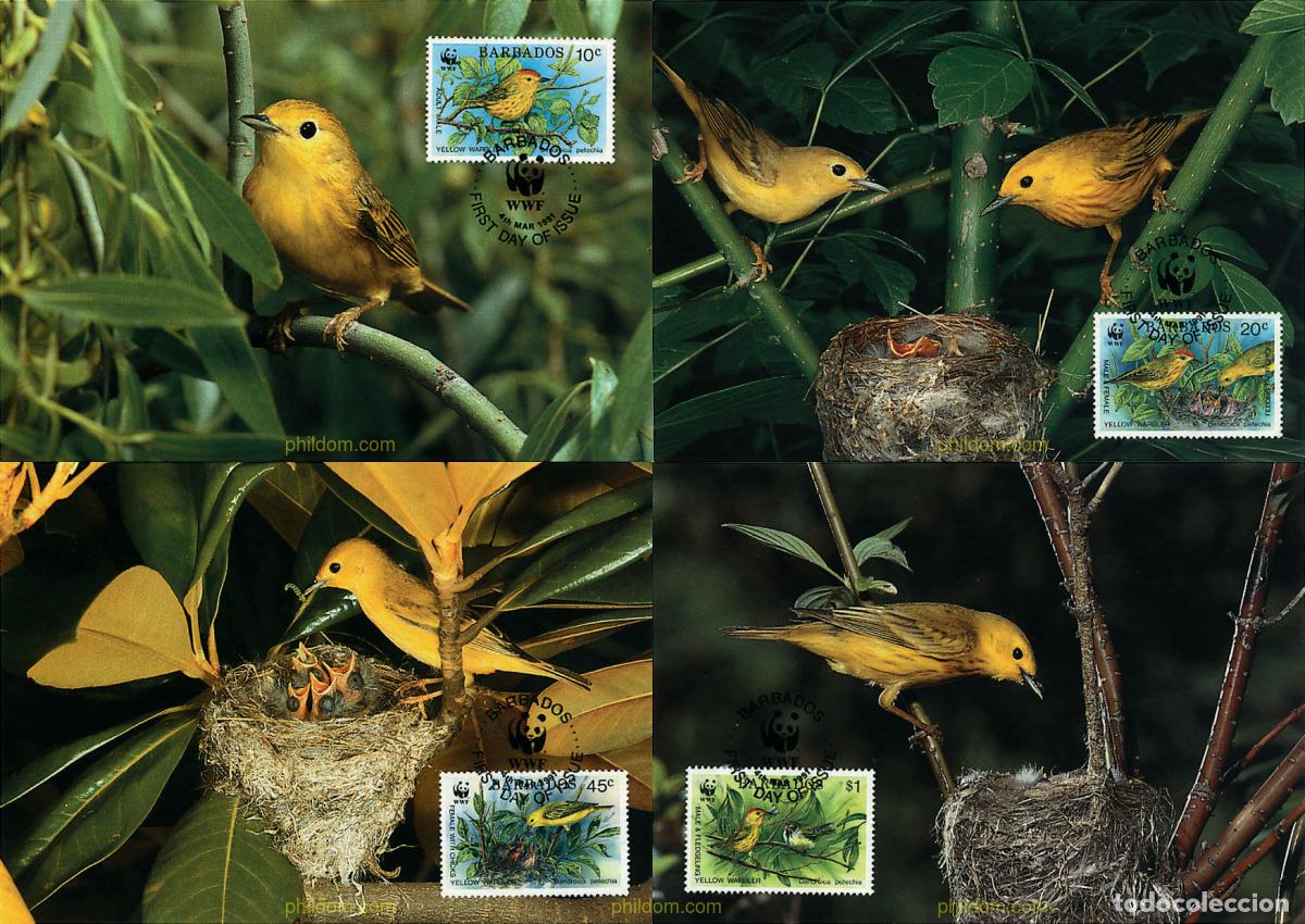 Sellos: 7364 MNH BARBADOS 1991 REINETA AMARILLA