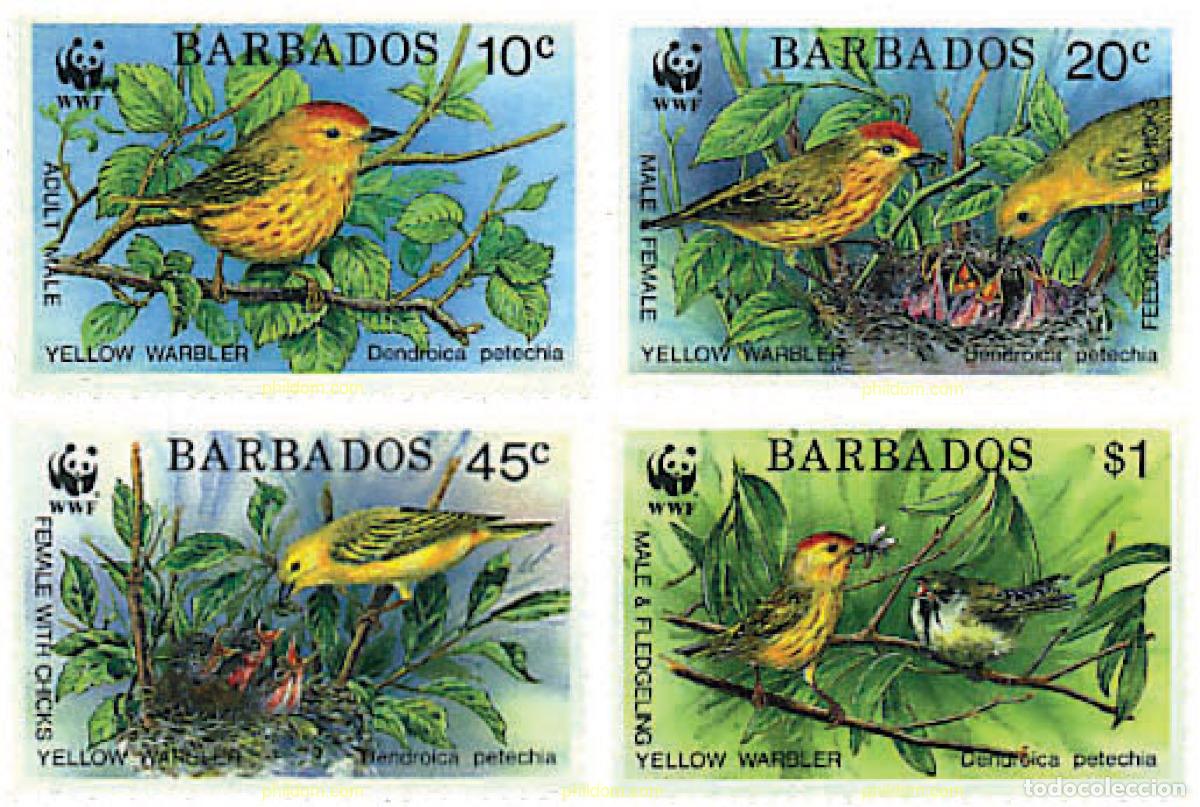 Sellos: 74090 MNH BARBADOS 1991 REINETA AMARILLA