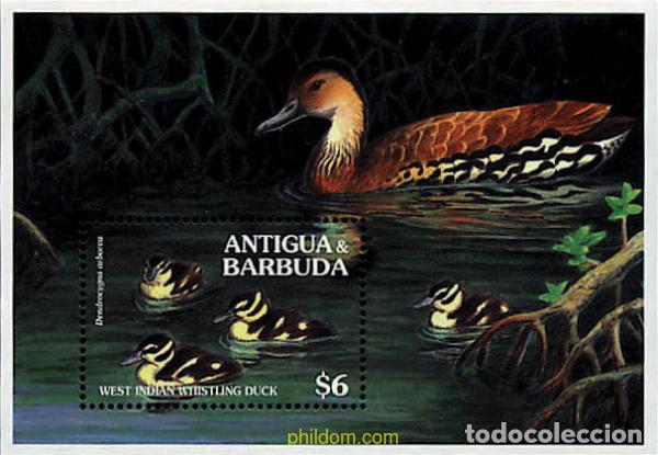 Sellos: 46988 MNH ANTIGUA Y BARBUDA 1994 AVES