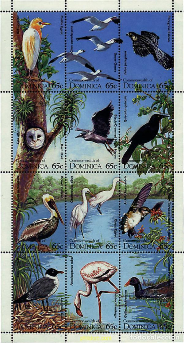 Sellos: 300225 MNH DOMINICA 1995 AVES ACUATICAS