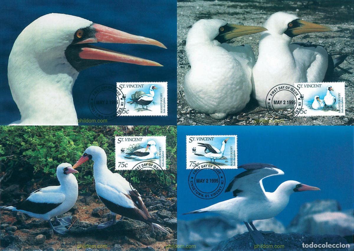 Sellos: 7413 MNH SAN VICENTE 1995 PIQUERO BLANCO
