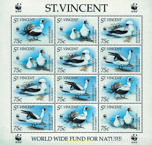 Sellos: 12659 MNH SAN VICENTE 1995 PIQUERO BLANCO