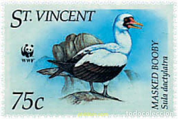 Sellos: 283917 MNH SAN VICENTE 1995 PIQUERO BLANCO