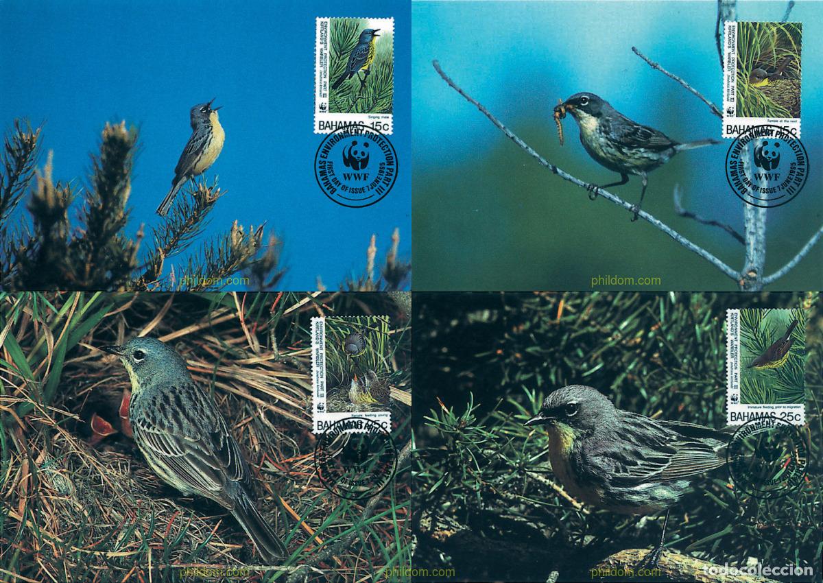 Sellos: 7406 MNH BAHAMAS 1995 DENDROICA DE KIRTLAND