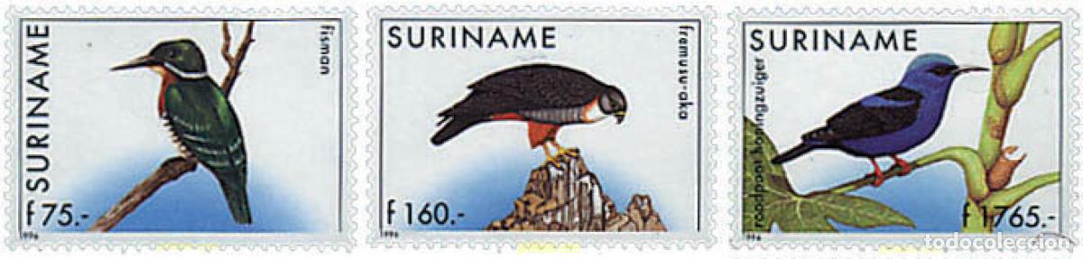 Sellos: 37024 MNH SURINAM 1996 AVES