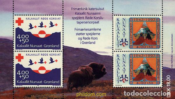 Sellos: 97020 MNH GROENLANDIA 1993 70 ANIVERSARIO DE LA CRUZ ROJA Y 50 DEL ESCULTISMO EN GROENLANDIA