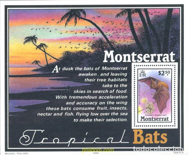 Sellos: 54608 MNH MONTSERRAT 1988 MURCIELAGOS