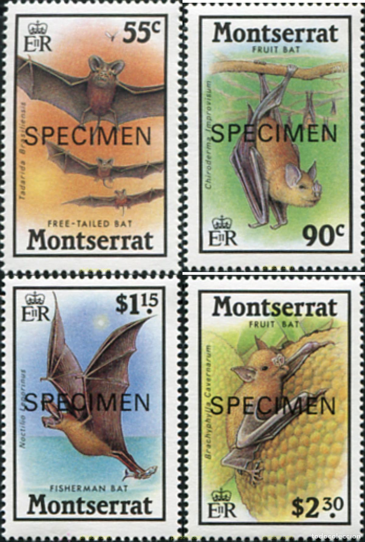 Sellos: 681969 MNH MONTSERRAT 1988 MURCIELAGOS
