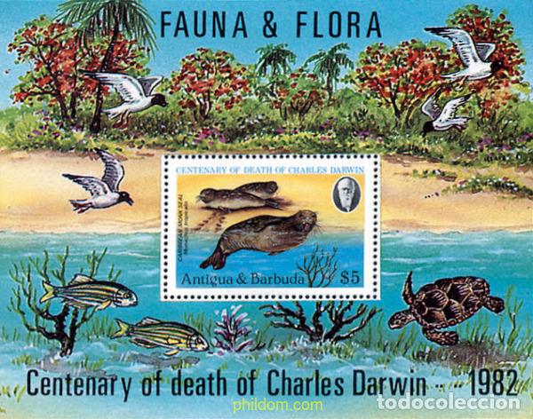 Sellos: 46716 MNH ANTIGUA Y BARBUDA 1982 CENTENARIO DE LA MUERTE DE CHARLES DARWIN