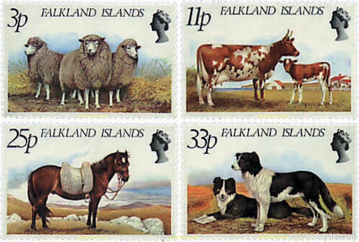 Sellos: 50890 MNH FALKLAND 1981 ANIMALES DOMESTICOS