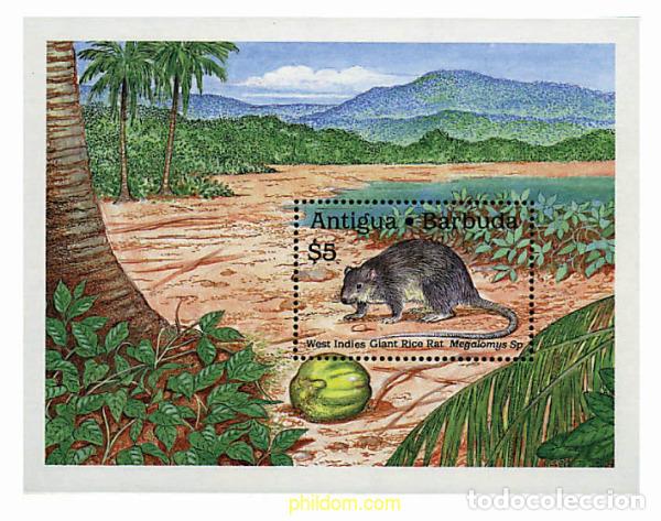 Sellos: 46915 MNH ANTIGUA Y BARBUDA 1989 FAUNA