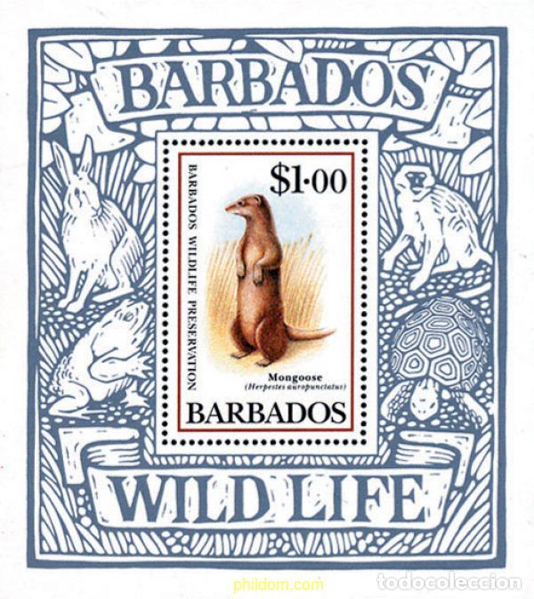 Sellos: 54618 MNH BARBADOS 1989 FAUNA PROTEGIDA