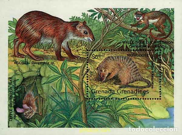 Sellos: 320148 MNH GRANADA GRANADINAS 1990 FAUNA