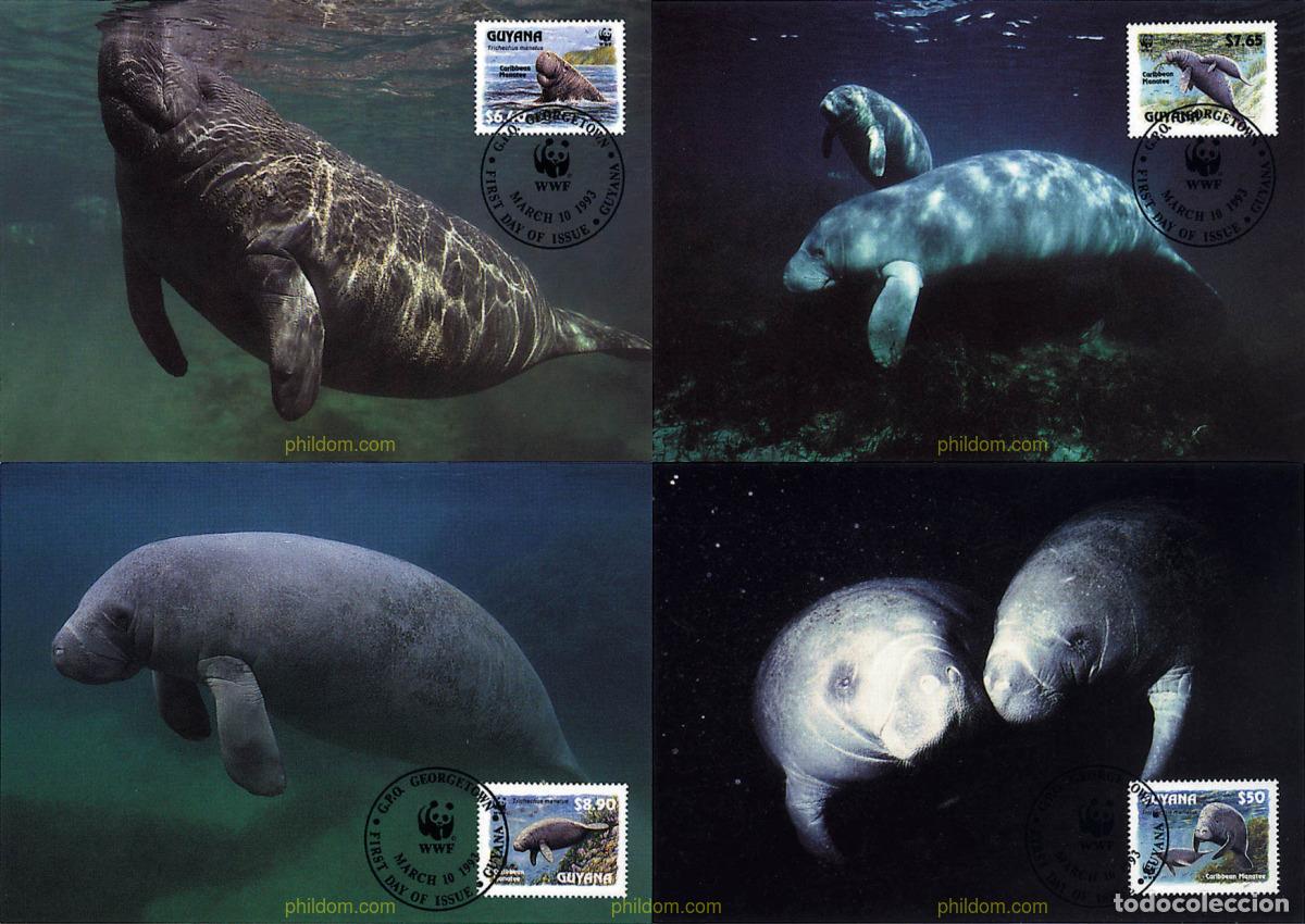 Sellos: 7382 MNH GUYANA 1993 MANATI