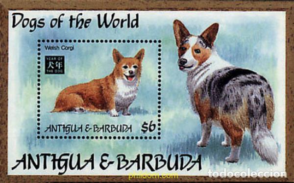 Sellos: 286579 MNH ANTIGUA Y BARBUDA 1994 PERROS DE RAZA